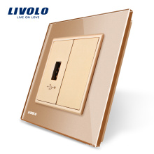 Livolo Золото Панель Кристаллического Стекла 1 Gang USB-Штекер Настенная Электрическая Розетка VL-C791U-13